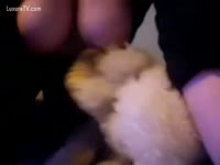 Two poodles licking scoops of a nice-looking Girl with large nipples